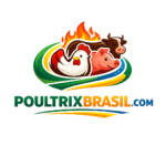 buy chicken feet , beaf and pork in brazil now