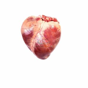 Premium Quality Frozen Pork Heart