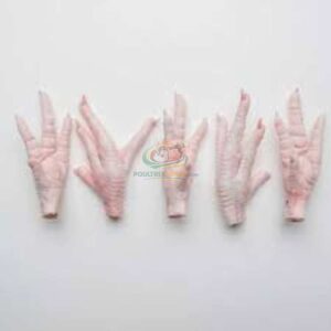 Best Frozen Chicken Paws